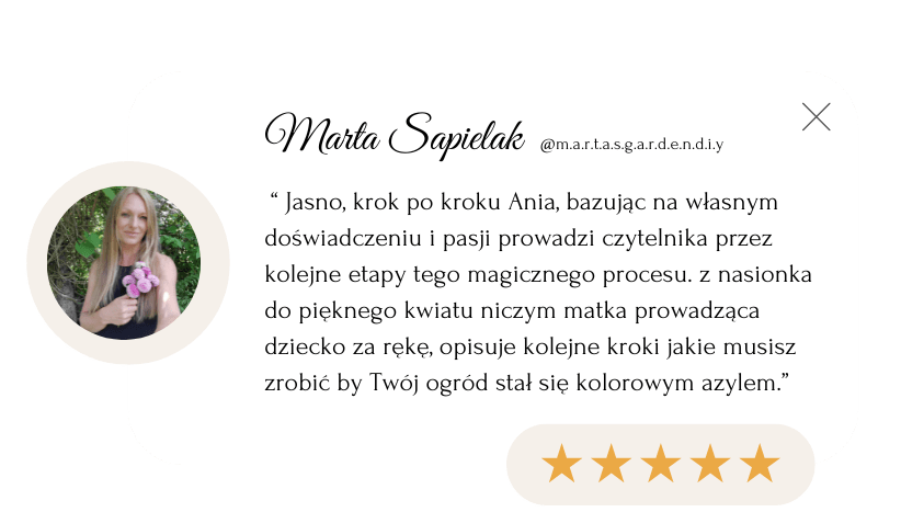 Beige Minimalist Client Review Testimonial Instagram Story(1)