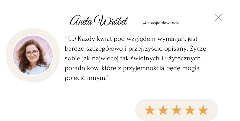 Beige Minimalist Client Review Testimonial Instagram Story(1)