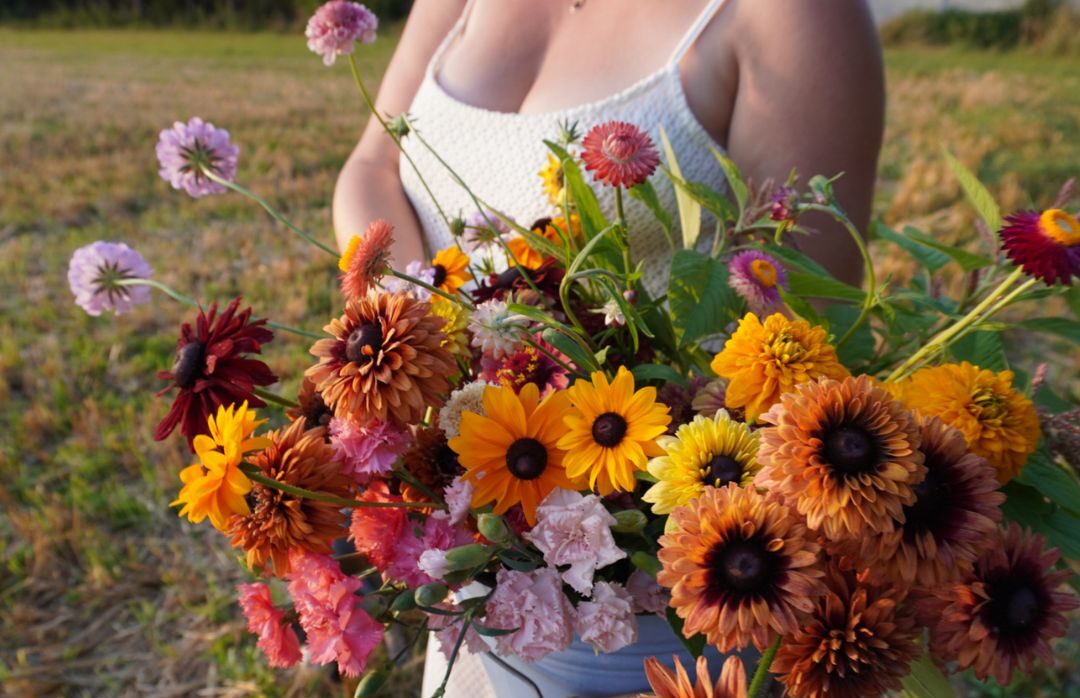 Dlaczego warto uprawiać kwiaty cięte?