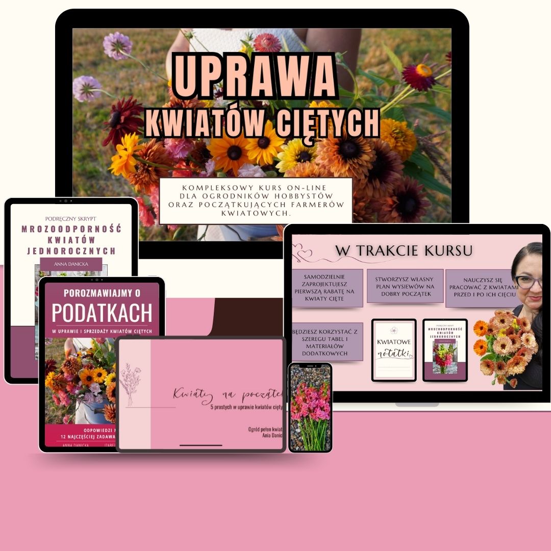 pakiet srebrny kursu uprawa kwiatów ciętych