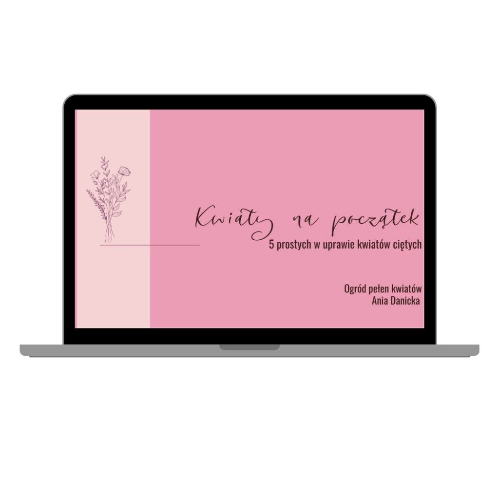 bonus do kursu online