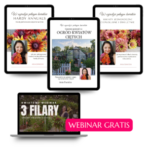 Pakiet 2 ebooków + webinar