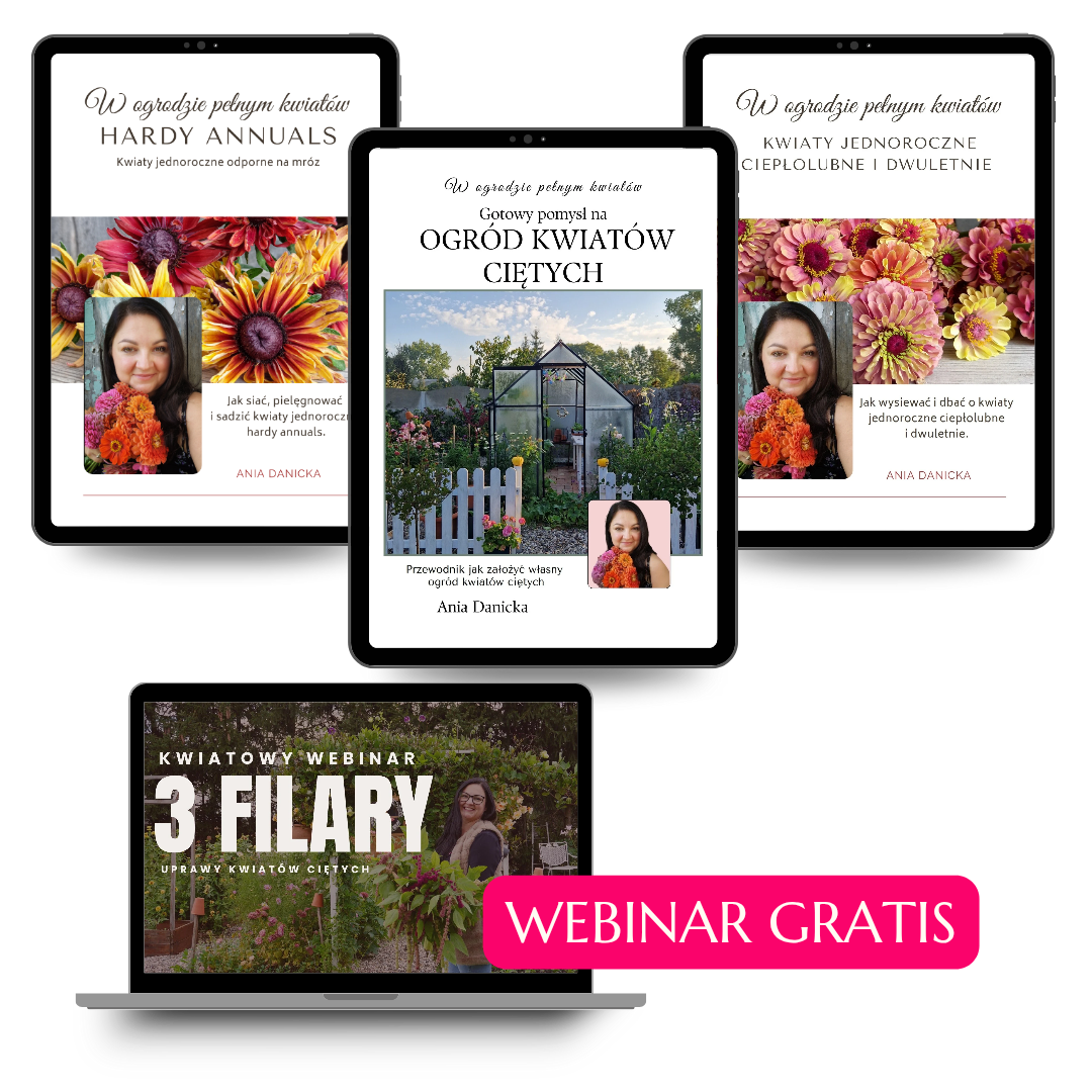 Pakiet 2 ebooków + webinar