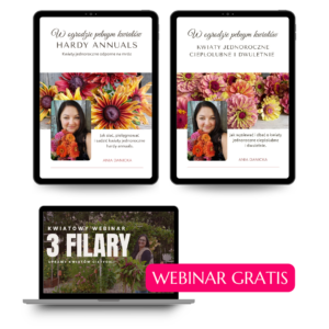 Pakiet 2 ebooków + webinar