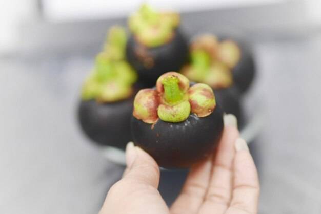 Czy awokado urośnie z pestki w domowych warunkach?