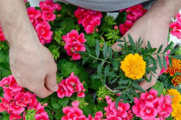 Jak kurs uprawy kwiatów ciętych wpływa na rozwój pasji florystycznej?