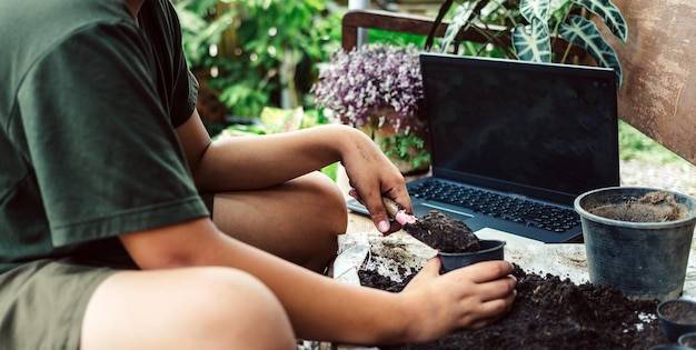 Jak kursy online ogrodnictwo pomagają rozwijać pasję do roślin?