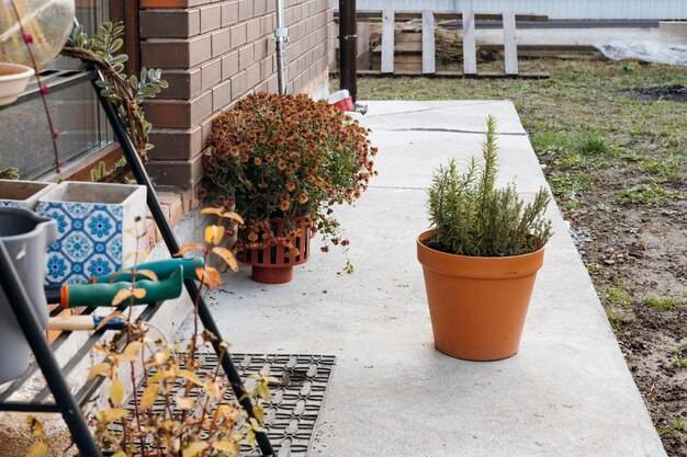 Jak zaprojektować rabatę przed domem z myślą o sezonowej zmianie roślin?