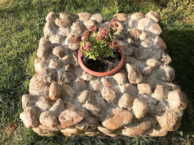 Jaka agrowłóknina pod kamyki sprawdzi się w ogrodzie?