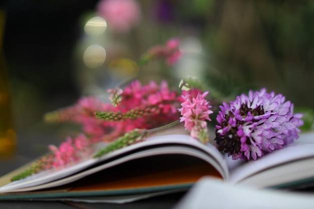 Jakie ebooki o kwiatach jednorocznych i dwuletnich warto przeczytać?