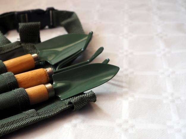 Sekator elektryczny jaki wybrać do prac w ogrodzie?