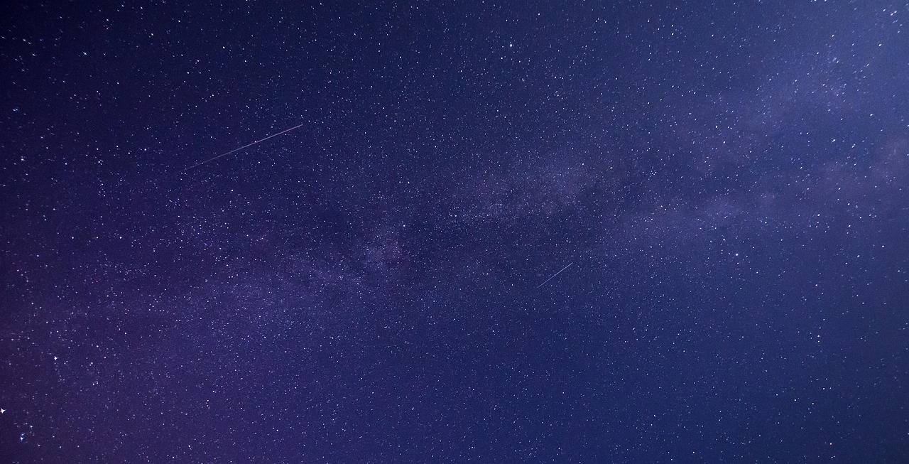 Dlaczego z gwiazdy betlejemskiej opadają liście i jak temu zapobiec?