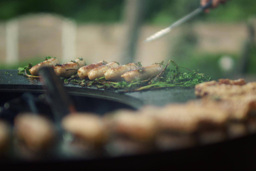 Jak pozbyć się much przy grillu bez użycia chemii?